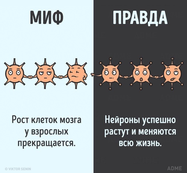10    ,   . - 2