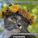 ���� �������, ��������� - ��������� 6 ������� 2016 � ������ �������