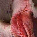 ���� ����, ������ - ��������� 27 ��� 2016 � ������ �������� ������ �����