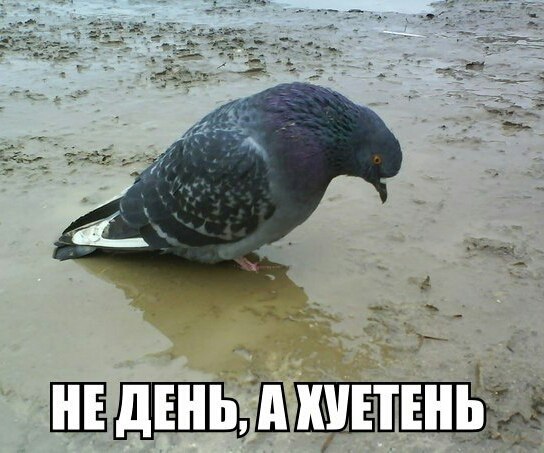  - 17  2016  20:49