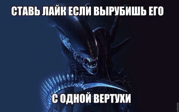������������� � ���� ����! fotostrana.ru/public/341843/