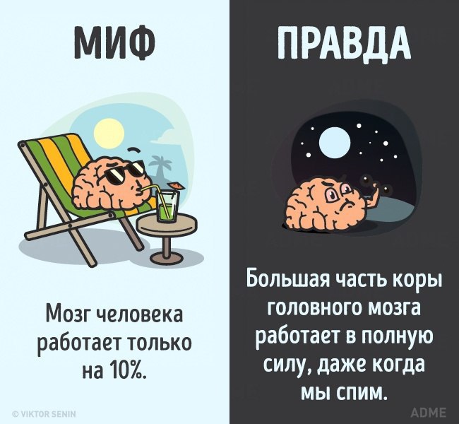 10    ,   .