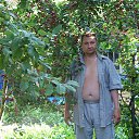 ���� ������, �����������, 63 ���� - ��������� 7 ������� 2016 � ������ ���� ����������