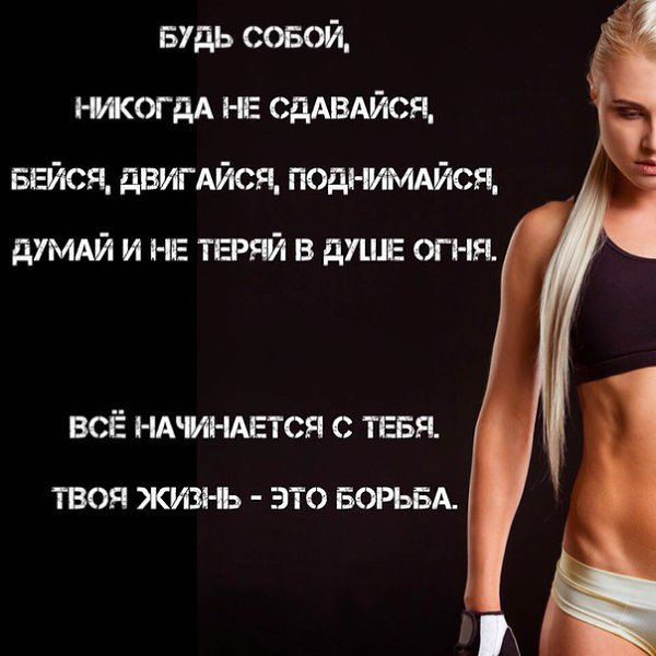 SportFeed - 14  2016  10:53