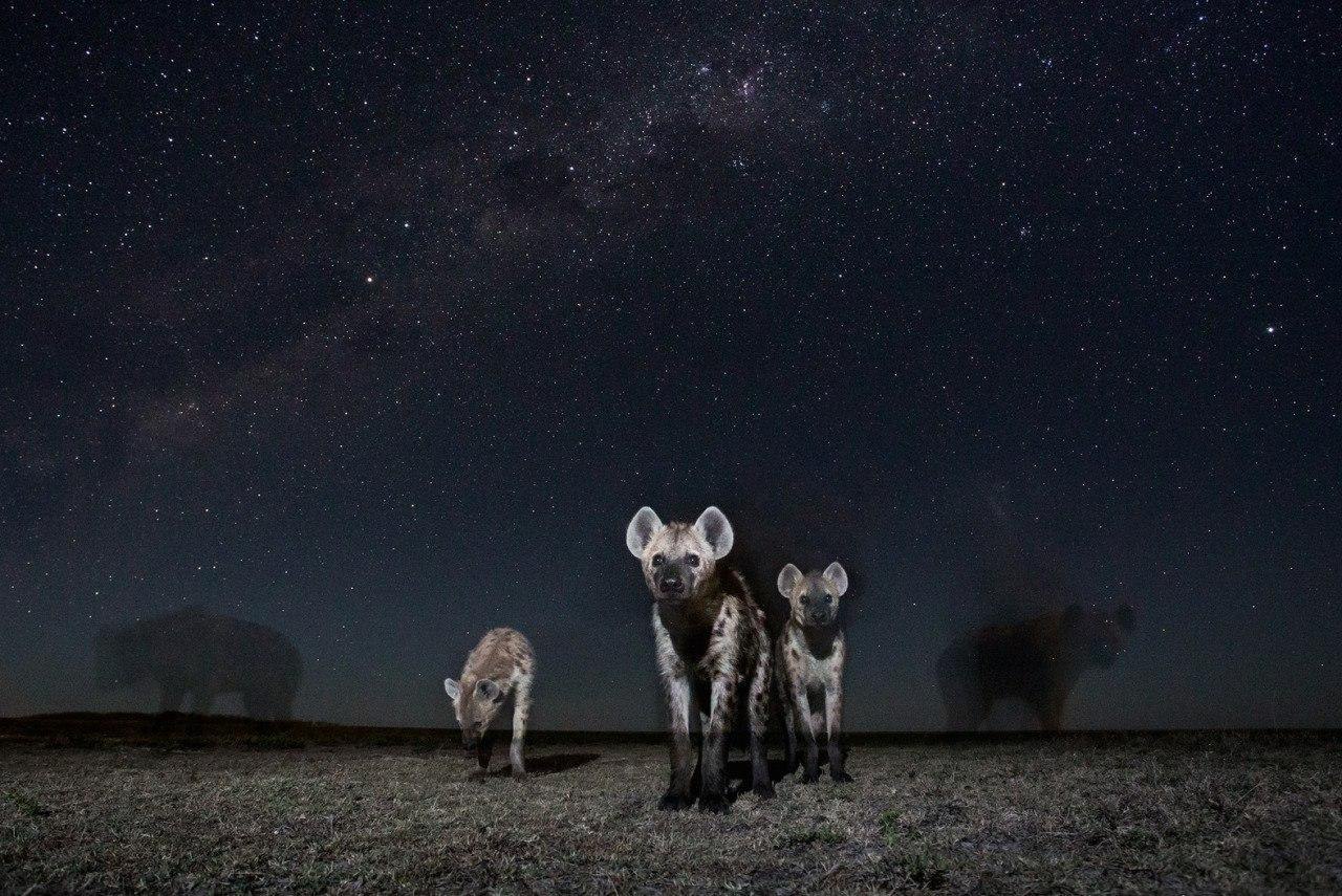 . Will Burrard Lucas - 3