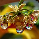  Nadin))) , - -  23  2016    