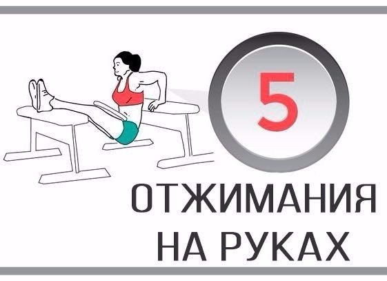   .,  ! - 6