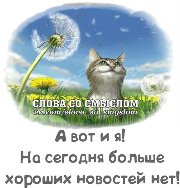      ,      ?!