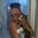 ���� ����, ���������, 50 ��� - ��������� 26 ������� 2016 � ������ ���� ����������