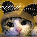 ���� ������, ������ - ��������� 26 ����� 2016 � ������ �������� ��������