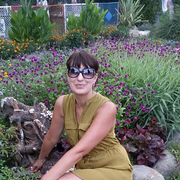 , 51, 