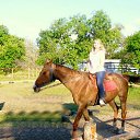 ���� ������, ��������� - ��������� 23 ��� 2016 � ������ ���� ����������