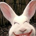 ���� ��������, ����, 50 ��� - ��������� 20 ���� 2016 � ������ ������ ��������