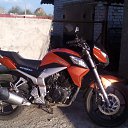 ���� �����, �������, 38 ��� - ��������� 12 ��� 2016 � ������ ���� ����������