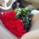 ���� �adam, ������ - ��������� 8 ���� 2016 � ������ ������ ��������