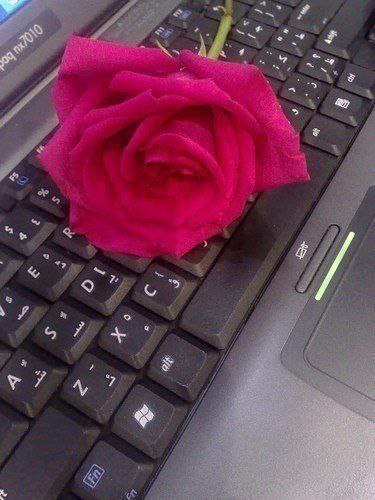 ��, ������, � ������ �� ����. �� ��������� �����, � �� ��������. � �� ������, � ���������� � ...