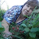 ���� ����, �������, 55 ��� - ��������� 8 ���� 2016 � ������ ���� ����������