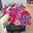 ���� ���������, ������-��-����, 55 ��� - ��������� 21 ���� 2016 � ������ ���� ����������