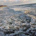 . . 2016    - Lietuva