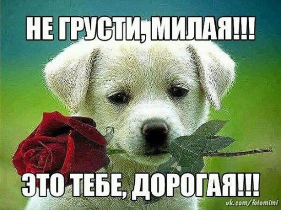       ,      ...   !!!...... ...