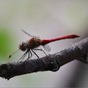 ���� ��������, ���������, 48 ��� - ��������� 8 ���� 2016 � ������ ���� ����������