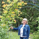 ���� �������, �����, 62 ���� - ��������� 11 ���� 2016 � ������ ���� ����������