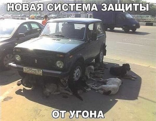 ***Victoria Viktorovna*** - 4  2016  14:59
