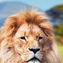���� �����, ���������, 46 ��� - ��������� 2 ������� 2016 � ������ ���� ����������