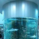 ���� Marina, �����, 46 ��� - ��������� 9 ������ 2016 � ������ ���� ����������