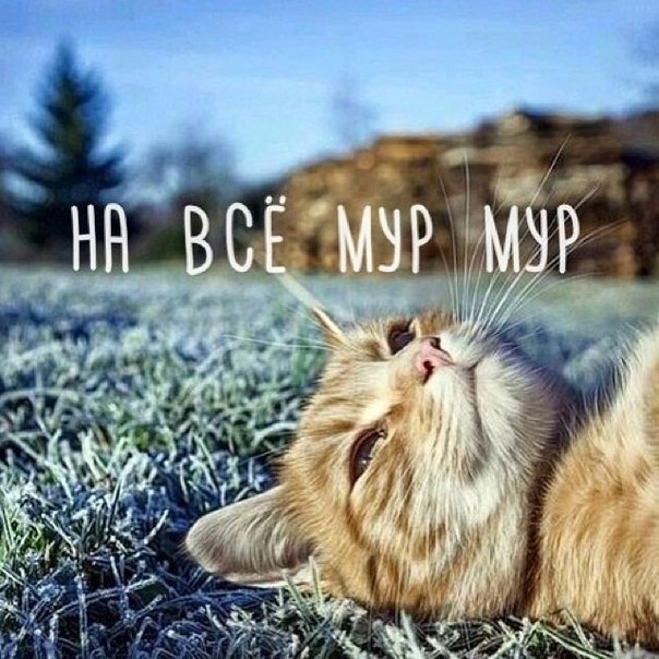  - 5