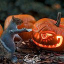���� �����, ������ - ��������� 14 ��� 2016 � ������ ���� ����������