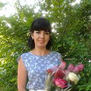 ���� ���������, ����������, 40 ��� - ��������� 13 ���� 2016 � ������ ���� ����������