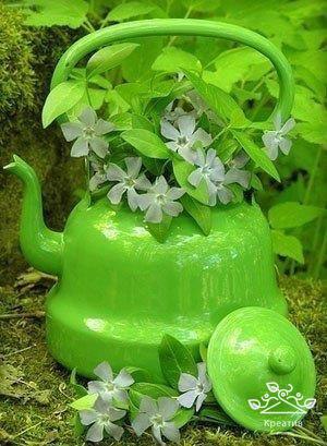 , ,  - 3  2016  16:57 - 3