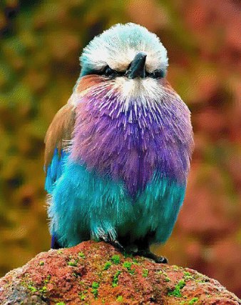    - 15  2016  13:48 - 2