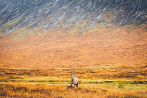 ����� � ���������. - 4