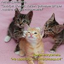 ���� ������, ���������, 60 ��� - ��������� 12 ��� 2016 � ������ ������ ��������