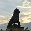 ���� Yuri, �������, 54 ���� - ��������� 5 ������� 2016 � ������ ��04-05.08.2016.�.�