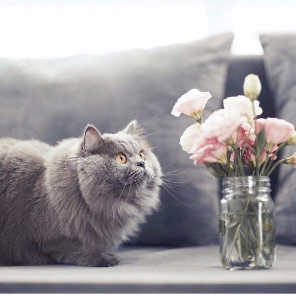       - 28  2016  04:30 - 3