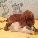 ���� ������, ��������� - ��������� 27 ������ 2016 � ������ ���� ����������