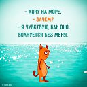 ���� ������, ������, 52 ���� - ��������� 9 ���� 2016 � ������ ������ ��������