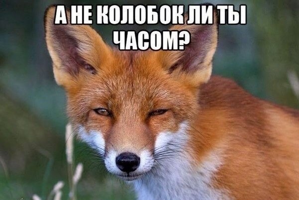 #@ican