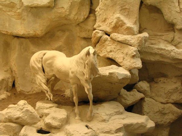   /Masood Rangrazan - 3