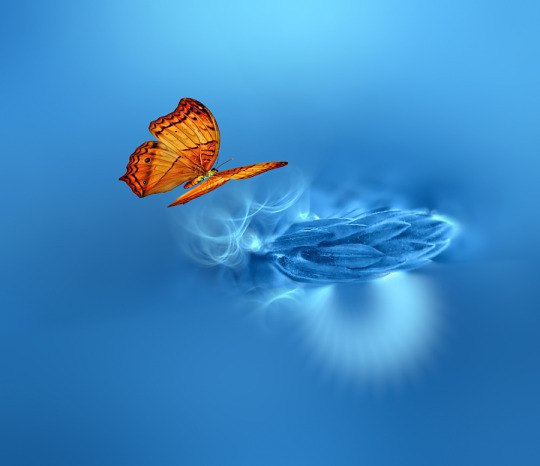  Josep Sumalla