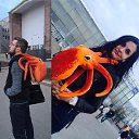 ���� Canpod, ������, 40 ��� - ��������� 24 ������ 2016 � ������ ������ ��������