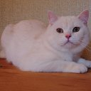 �������. �.�. 28.02.2015�. �� ������� �� ������ ����.�