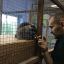 ���� ������, �����������, 50 ��� - ��������� 22 ���� 2016 � ������ ���� ����������