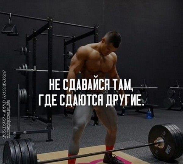  -   - 25  2016  17:51