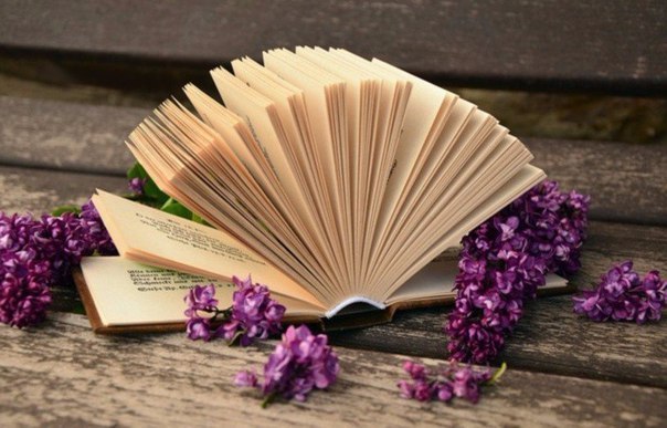 Осторожно: эти 10 книг вызывают «книжное похмелье»! 1.Маркус Зузак