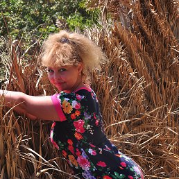 ���� ��������, ��������������� - ��������� 1 ������� 2016