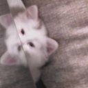 ���� �����, ���� - ��������� 26 ��� 2016 � ������ ���� ����������